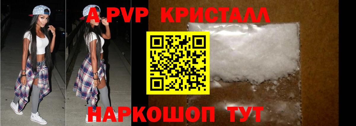 A PVP СК Сегежа